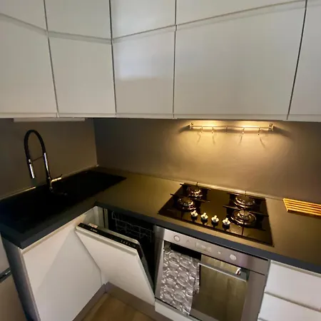 Modern With Terrace And Mezzanine Floor Apartment *